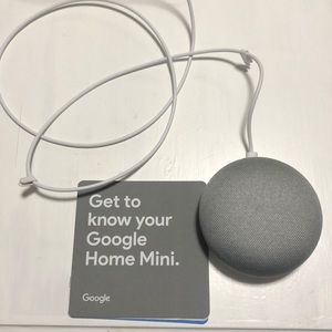 Google home mini
